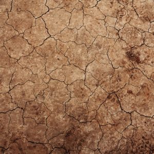 brown tan cracked earth texture background