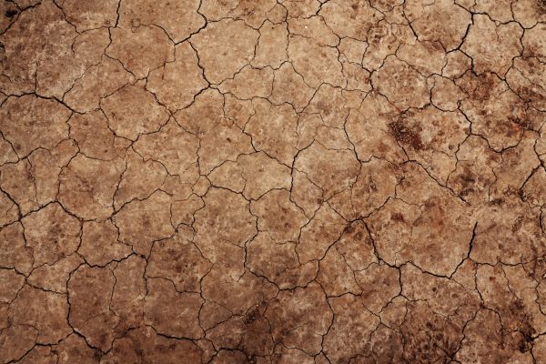 brown tan cracked earth texture background